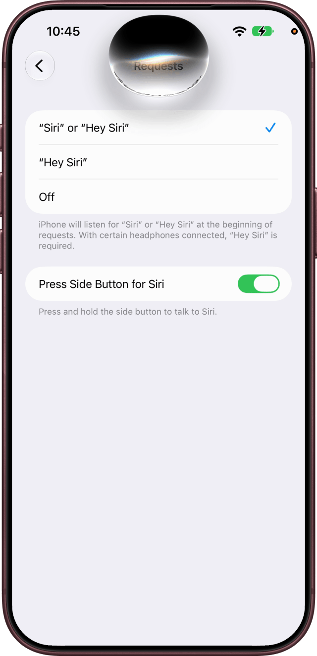 Siri's orb in the Dynamic Island over the Requests screen