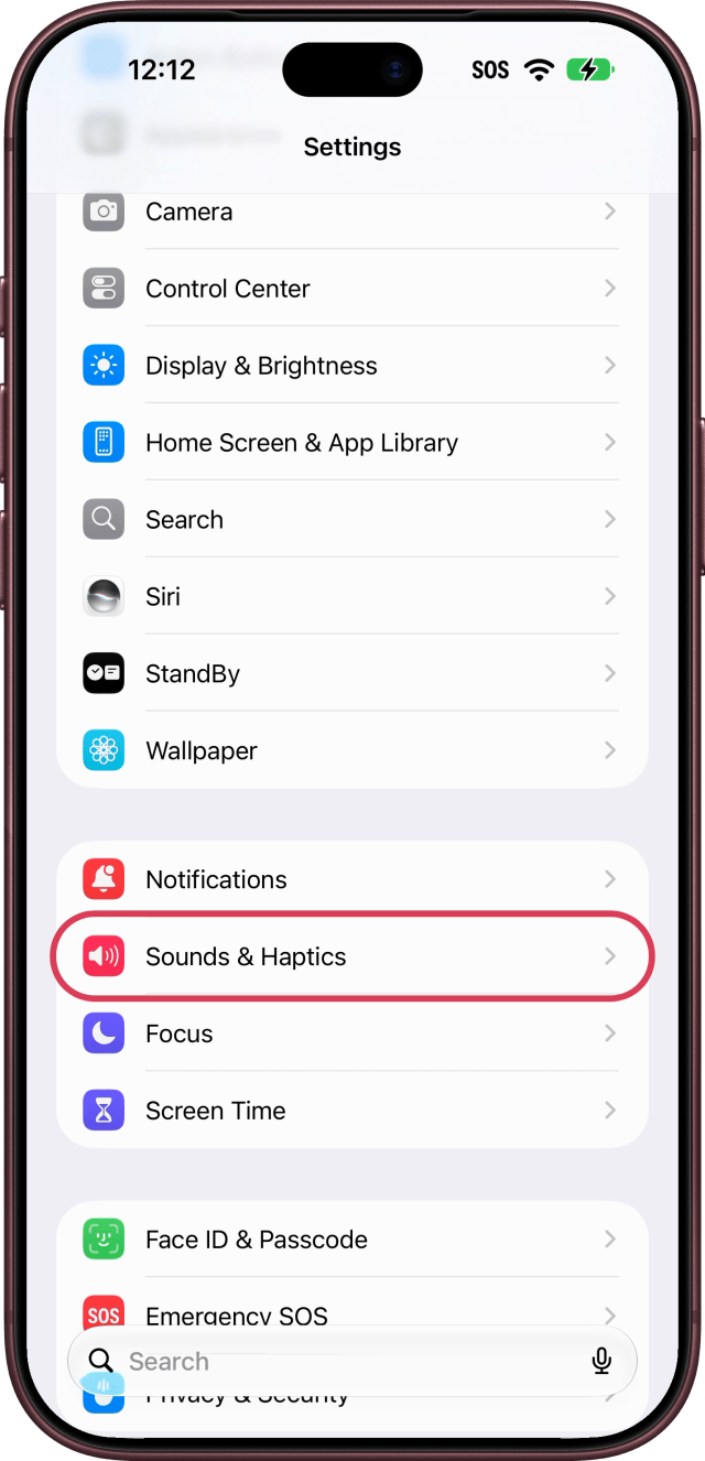 Sounds & Haptics outlined in Settings.