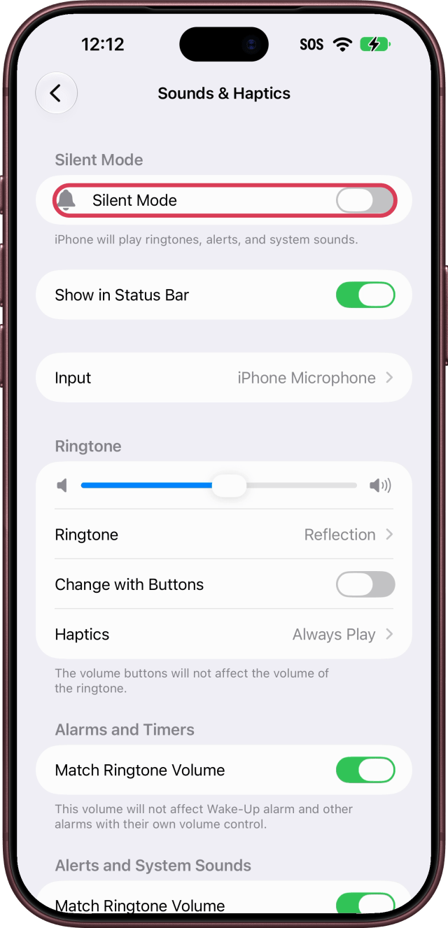 The Silent Mode switch outlined, off.