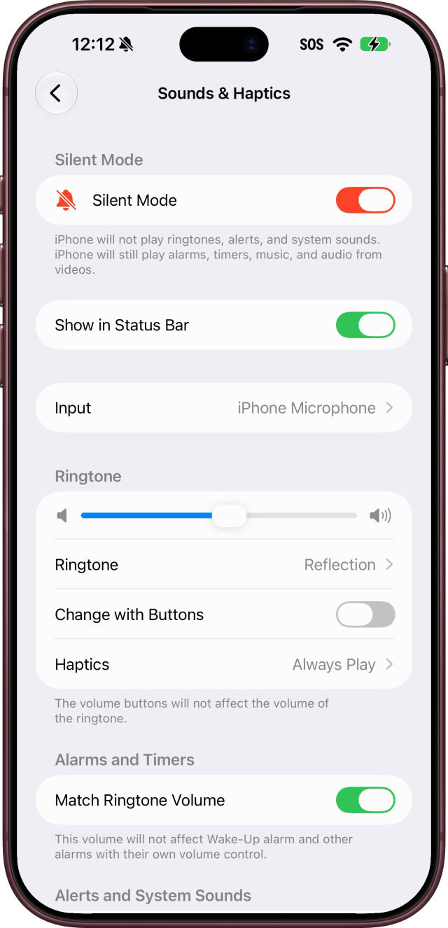 Sounds & Haptics with Silent Mode on.