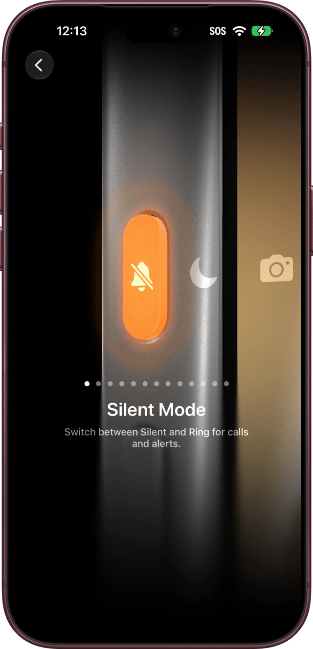 The Action Button page showing Silent Mode.