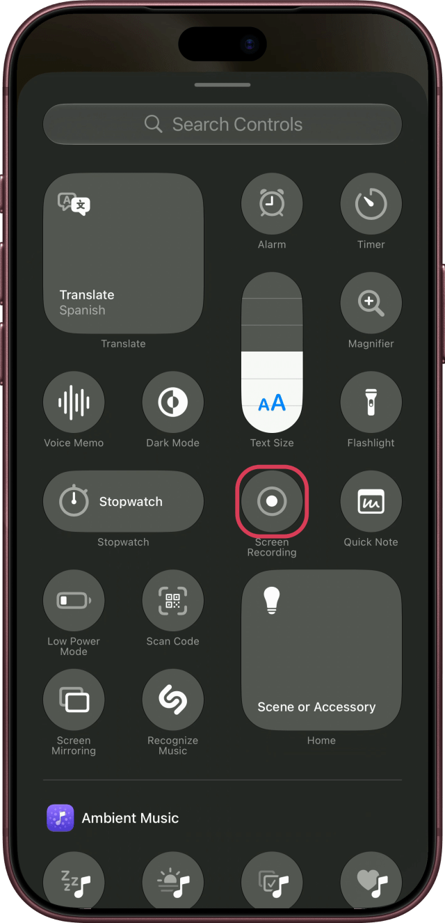 Screen Recording outlined in the gallery of controls.