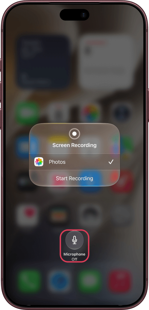 Microphone, off, outlined in the Screen Recording options.