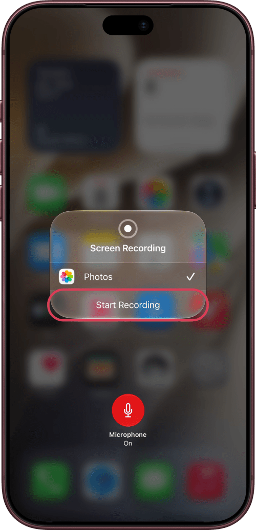 Start Recording outlined, with Microphone on.