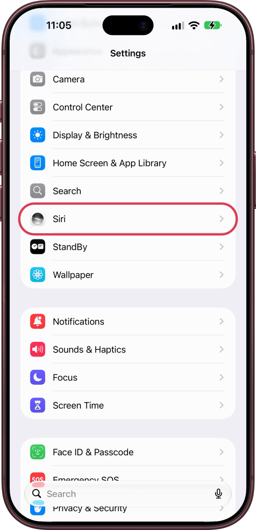 Siri ringed in the Settings list