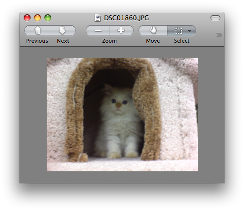 How to Create a PDF in Mac OS X Leopard