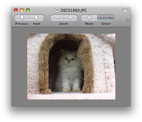 Como Criar um PDF no Mac OS X Leopard