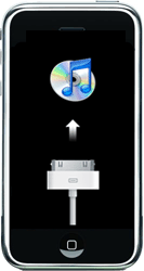 Sätta en iPhone/iPod Touch i återställnings