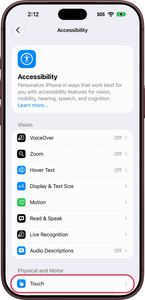 Touch outlined under Physical and Motor in Accessibility.