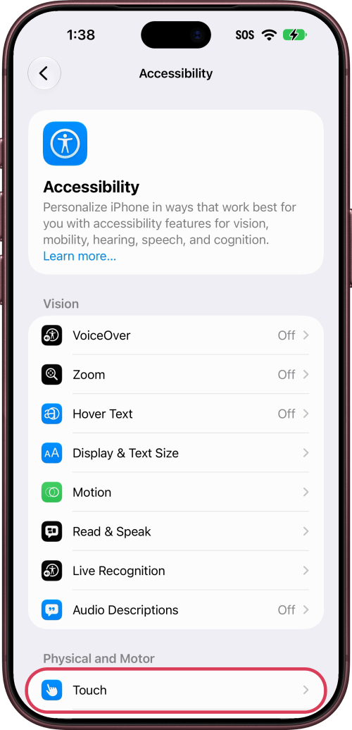 Touch outlined under Physical and Motor in Accessibility.