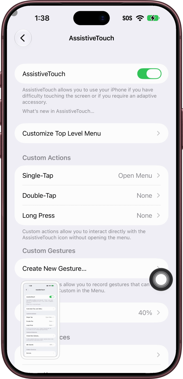 The screenshot's thumbnail in the lower-left corner.
