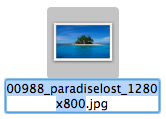 How to Rename a File