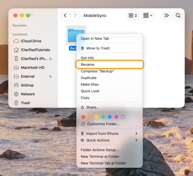 The Backup folder's menu with Rename ringed