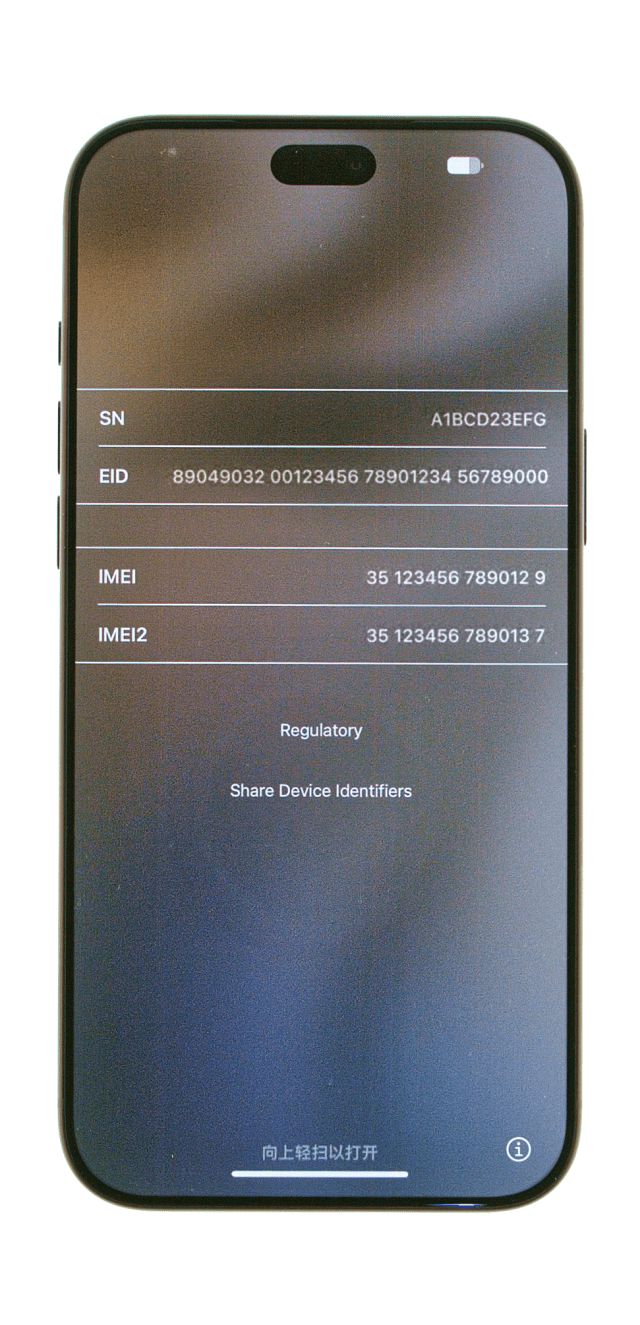 The Info screen lists the SN, EID, IMEI and IMEI2
