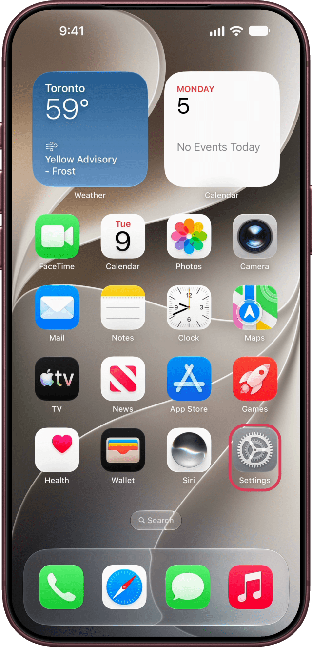 The Settings app outlined on the Home Screen.
