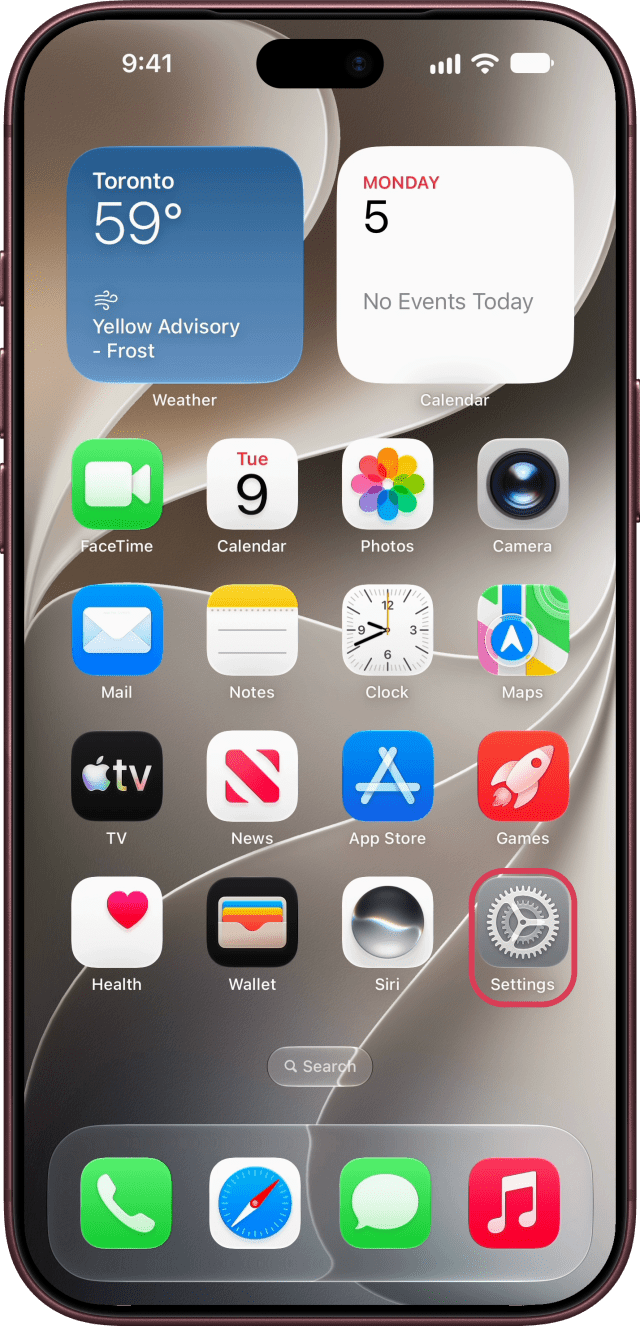 The Settings app outlined on the Home Screen.