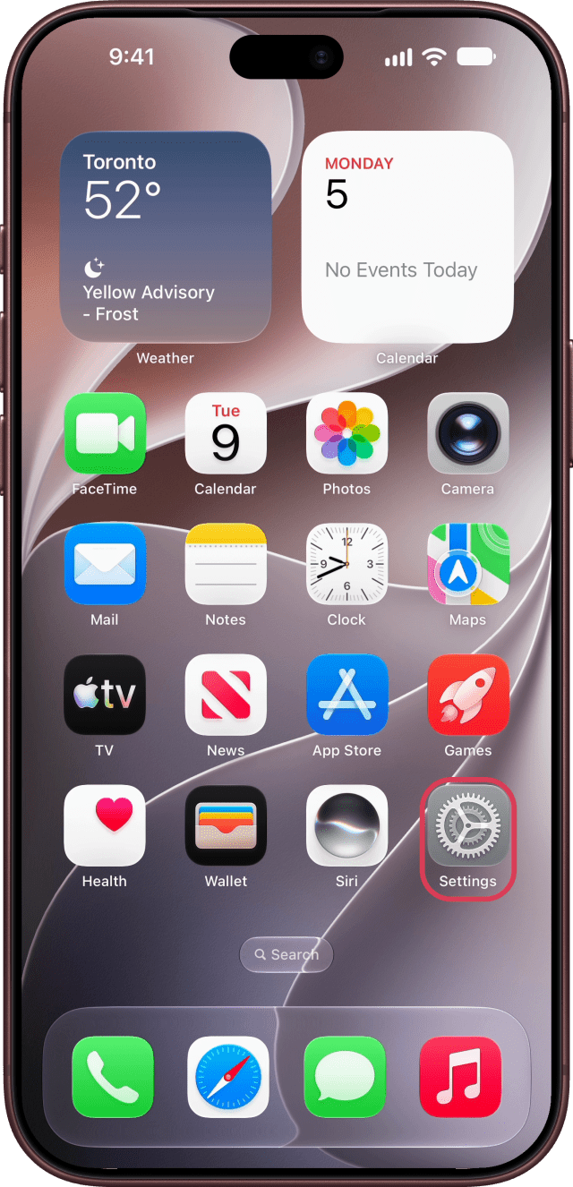 The Settings app outlined on the Home Screen.