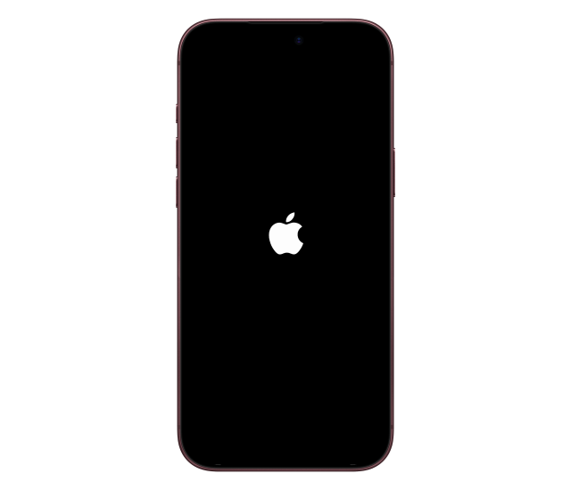 The Apple logo as the iPhone starts up.