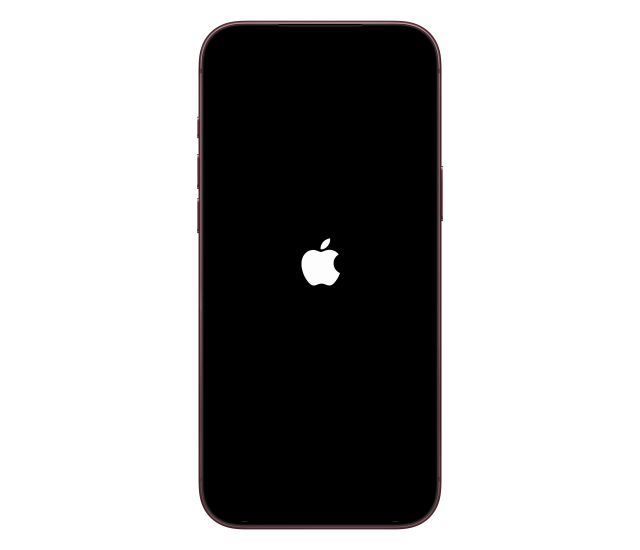 The Apple logo on a black screen as the iPhone restarts.